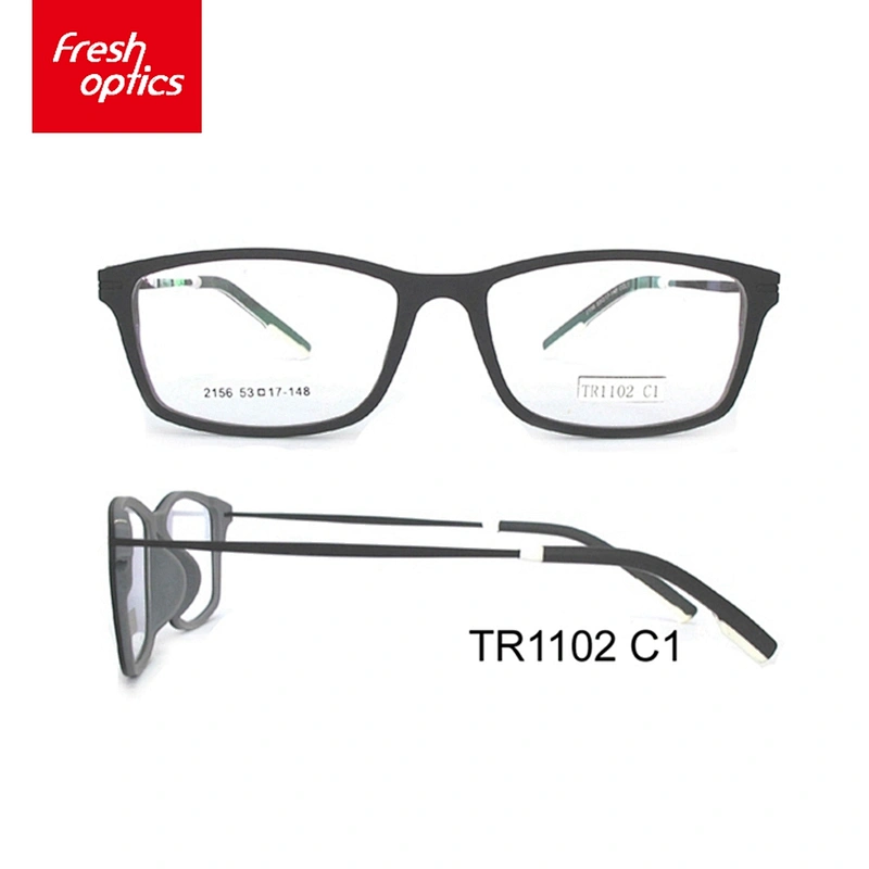TR1102 new popular fashionable design branded titanium glasses frames