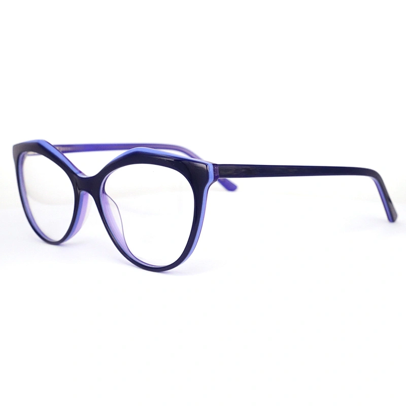 FB5391 Latest model spectacle frame italian eyewear brands new trend acetate eyewear