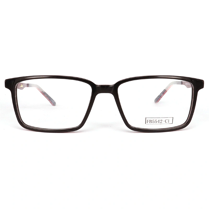 FB5542 Latest models of spectacles design special metal temple eyeglasses frame acetate frames