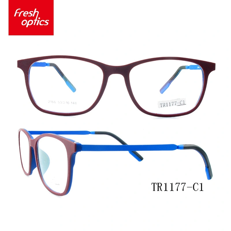TR1177 New Design Eyewear Optical Frame TR90,Mode Glasses Frame