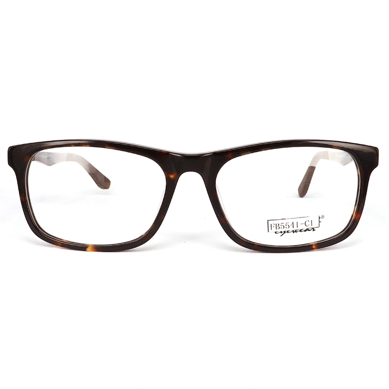 FB5541 Popular acetate nice optical for glasses metal temple brand acetate frames