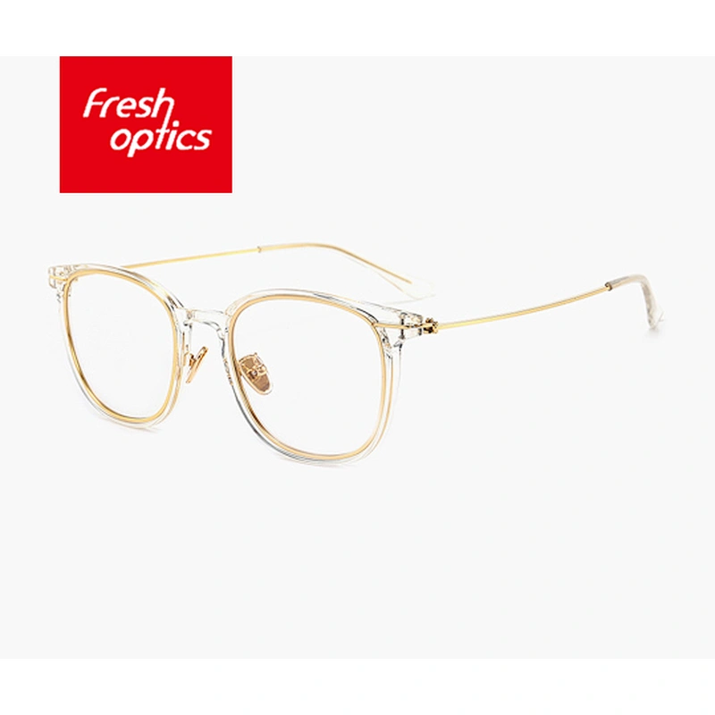 10022 Newest glasses vintage optical frame eyeglass frame tr90