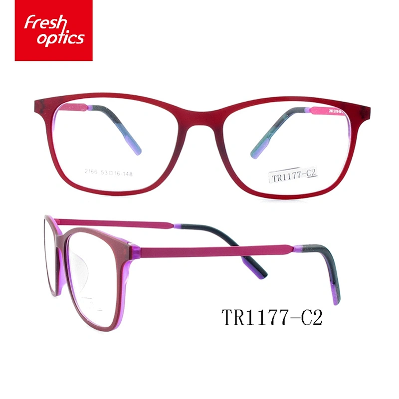 TR1177 New Design Eyewear Optical Frame TR90,Mode Glasses Frame