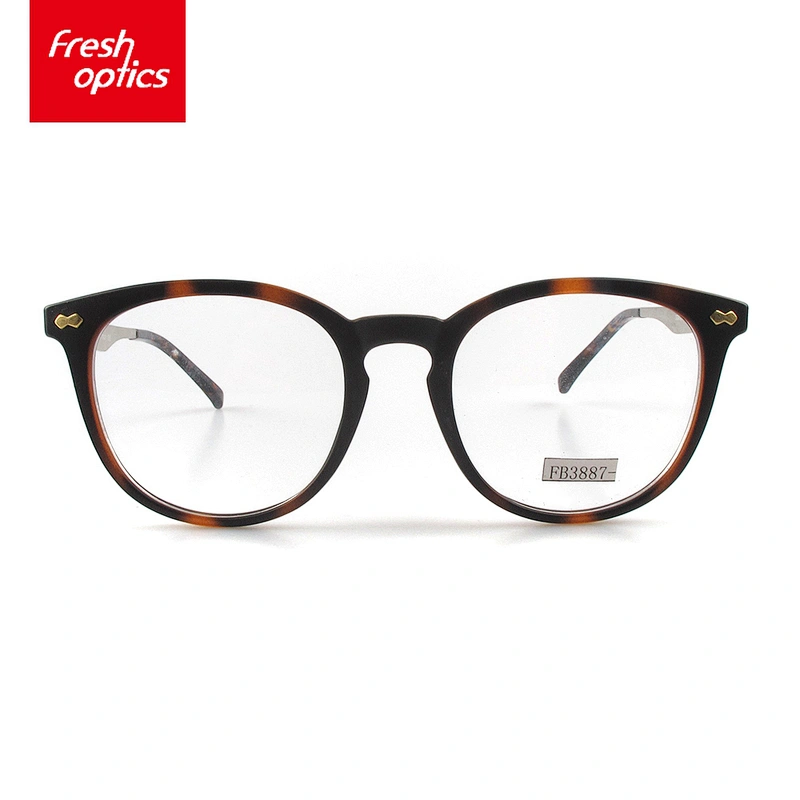 FB3887 Acetate Sedate Style Eyeglass Frames With Gold Temple