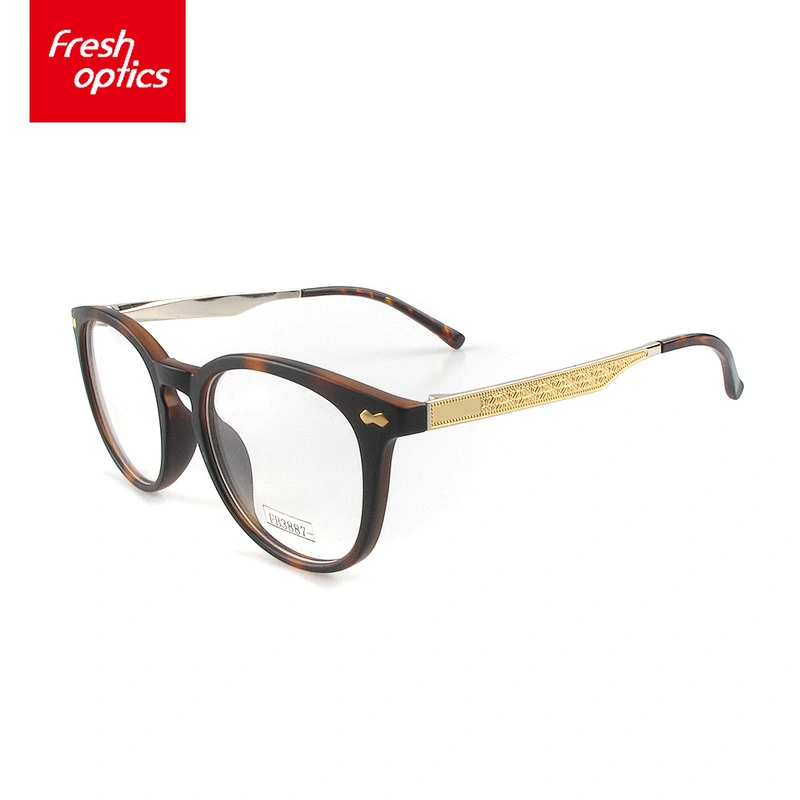 FB3887 Acetate Sedate Style Eyeglass Frames With Gold Temple