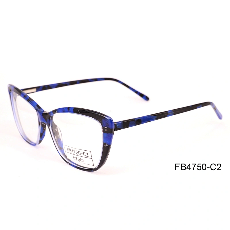 FB4750 Girl Fashion Eyewear Frames, Purple Optics Frames with Heart Shape Design