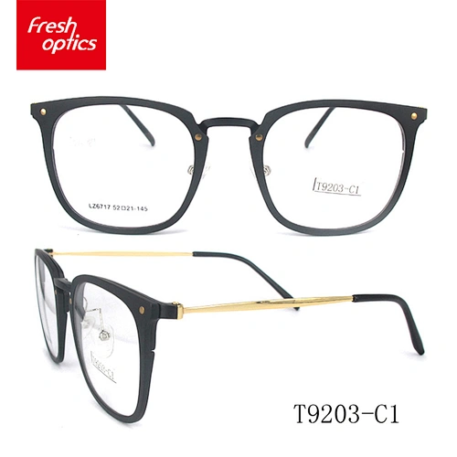 T9203 Factory custom modern luxury tr90 optical glasses frames for promotions