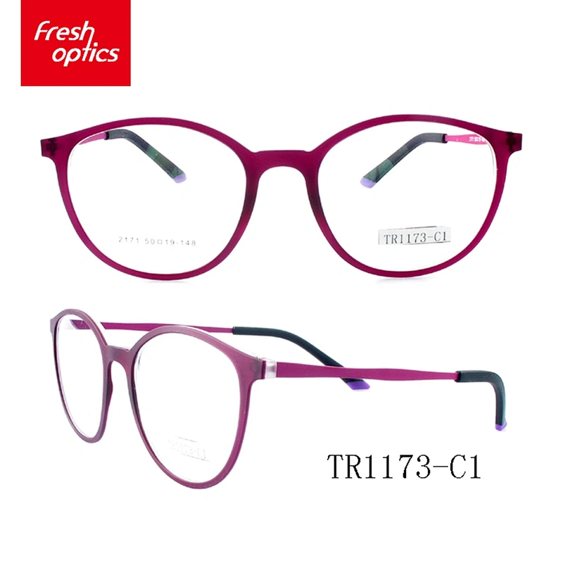 TR1173 Customized Colorful Latest Optical Frames,TR90 Eyeglass Frames