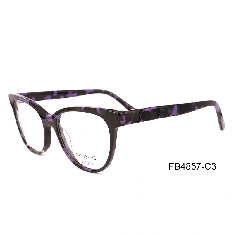 FB4857 Changeable color eyeglass frames acetate material optic eyeglasses frame