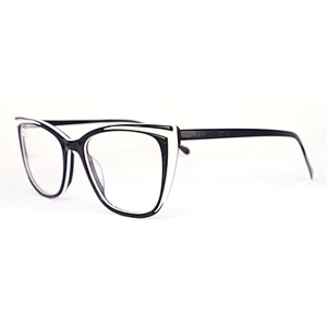 FB5413 China wholesale eyeglasses frame cheap plastic glasses frame popular acetate eyewear