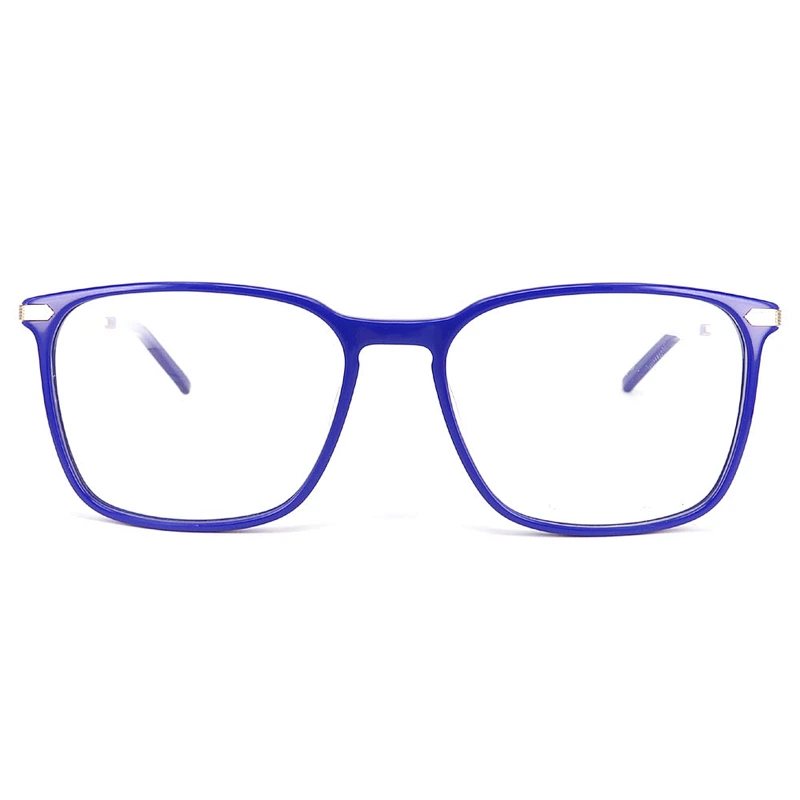 FB5525 Simple and generous spectacle frames special metal temple nice acetate eyeglasses