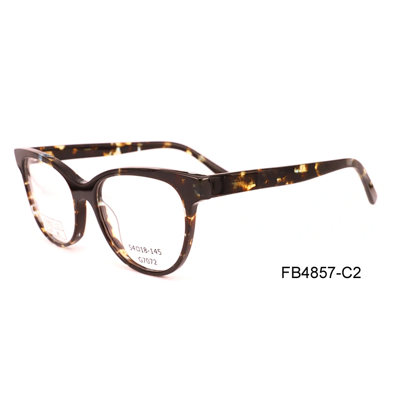 FB4857 Changeable color eyeglass frames acetate material optic eyeglasses frame