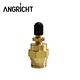 Angricht Anti Corrosion Brass Valve Push-in Fitting Air Compressor Valve Truck Accessories