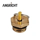 Best Quality Brass Compression Union Fitting