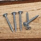 Modified Truss Head Self Tapping Screw