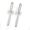 Blind Rivets DIN7337A