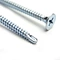 Drywall Screw Self Drilling Point