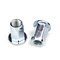 Flat Head Full Hex Body Carbon Steel Rivet Nut