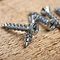 Window Screw With 6 Nibs Sharp Point