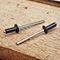 Blind Rivets DIN7337A