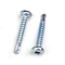Pan Head Torx Drive Self drilling Screw