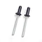 Blind Rivets DIN7337A