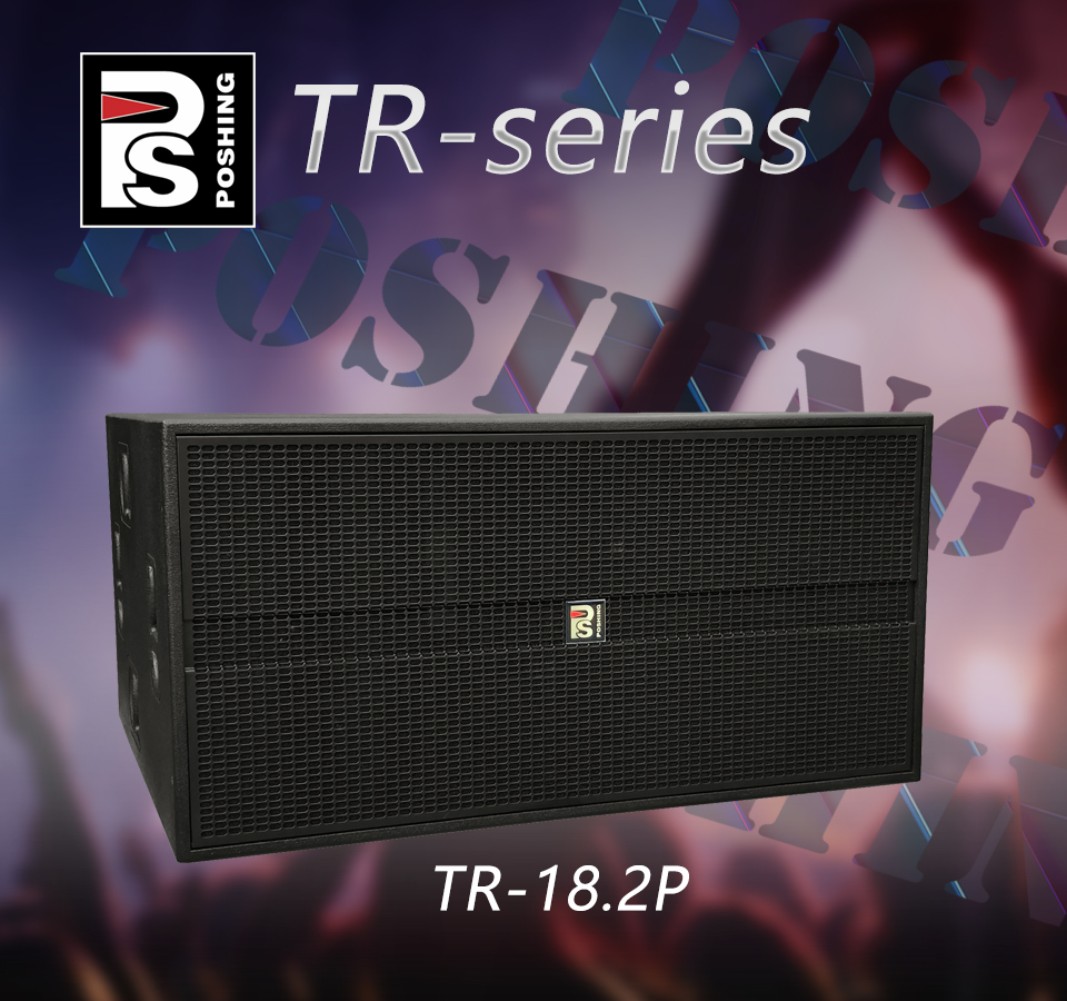 double 18 speaker