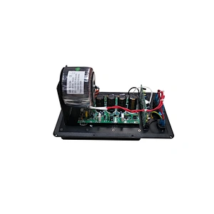 PH-318P