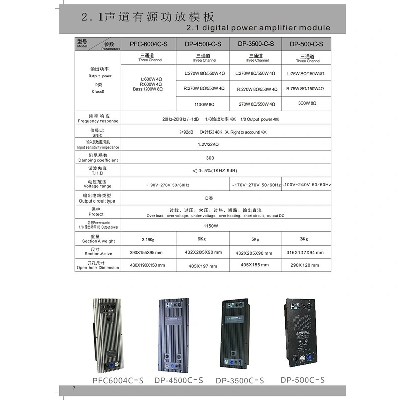 DP-500C-S DSP Amplifier Module