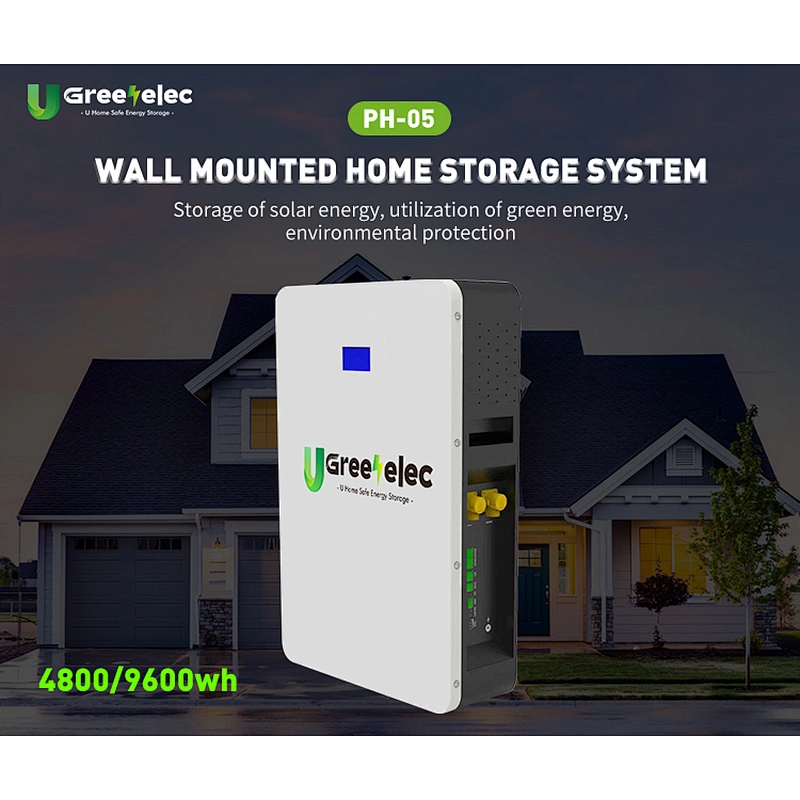 High quality    home  energy storage system  solar system for homes   48v 51.2V 100Ah  LiFePo4  battery