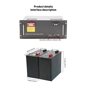 UN38.3 High Capacity Lead Acid Replacement 100Ah LiFePo4 Lithium Battery for Solar Storage Cycle Life 3000 Times