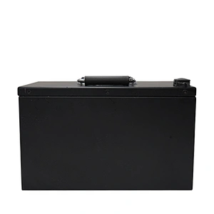 Manufacturer Renewable Energy Lithium Ion LiFePo4 Battery Cycle Times 4000 Lithium Energy Storage Battery with CAN
