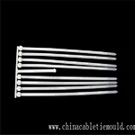 Common problems and solutions in the production of nylon cable ties injection mould