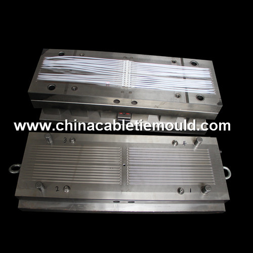 Cable tie mould