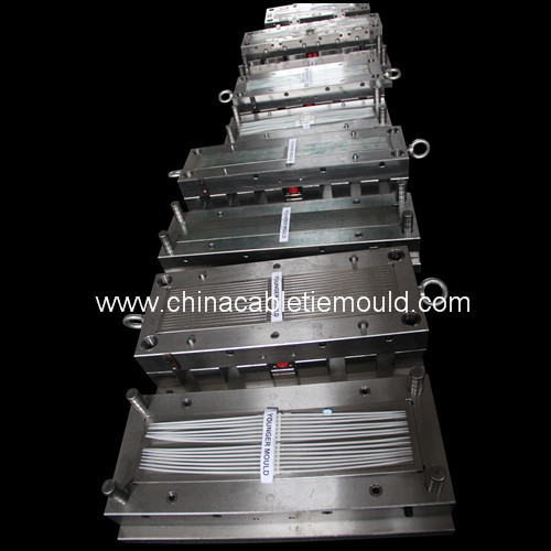 nylon cable tie injection mould supplier