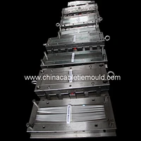 nylon cable tie injection mould supplier