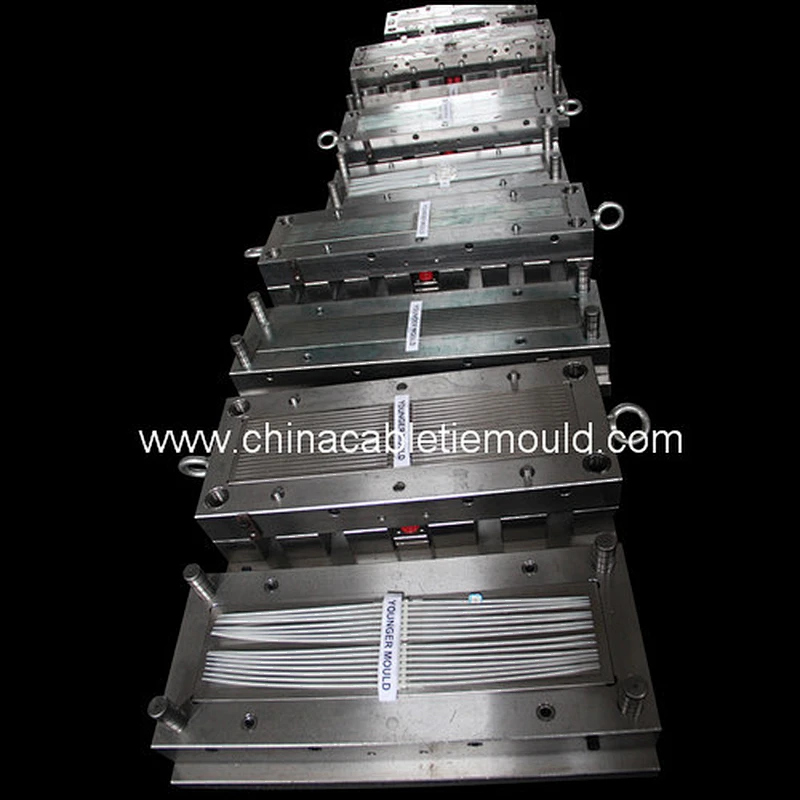 nylon cable tie injection mould supplier