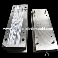 nylon cable tie mould manufacture