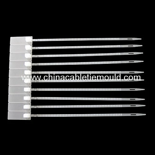 PP tamper evident security seal mould