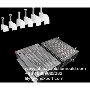 Plastic PE clip mould