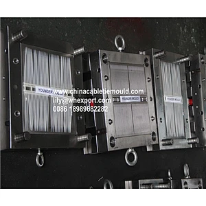Hot runner Cable tie mould  manufactory in china
