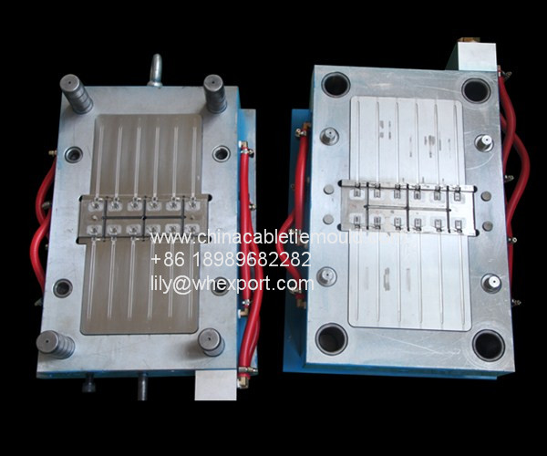 Fir tree cable tie mould manufacture in china