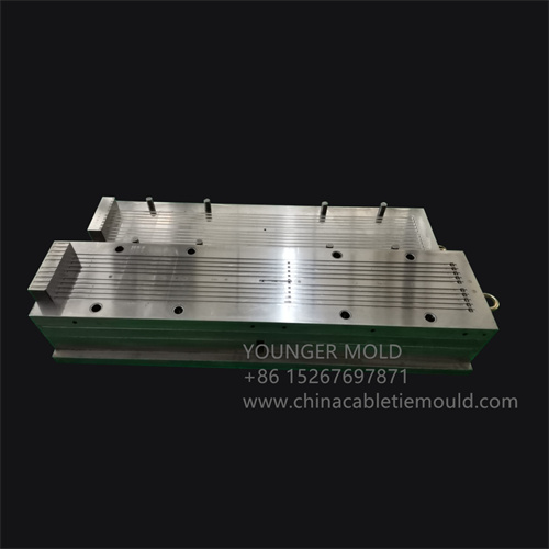 cable tie mold
