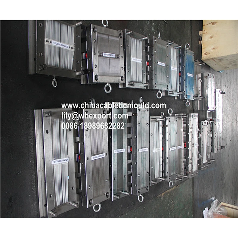 Hot runner Cable tie mould  manufactory in china