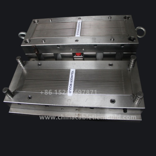 cable tie mould 