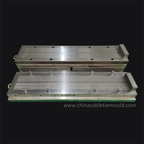 cable tie mould