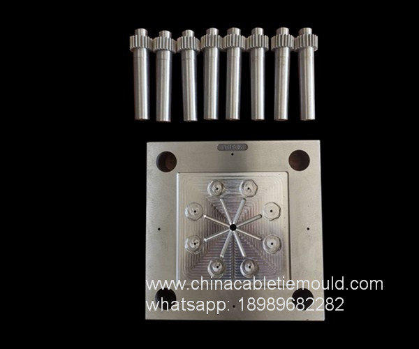 Electric nyon PG Gland mold manufactory