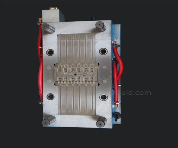 car cable tie mold supplier