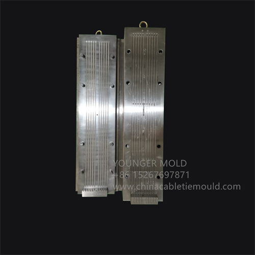 cable tie mould