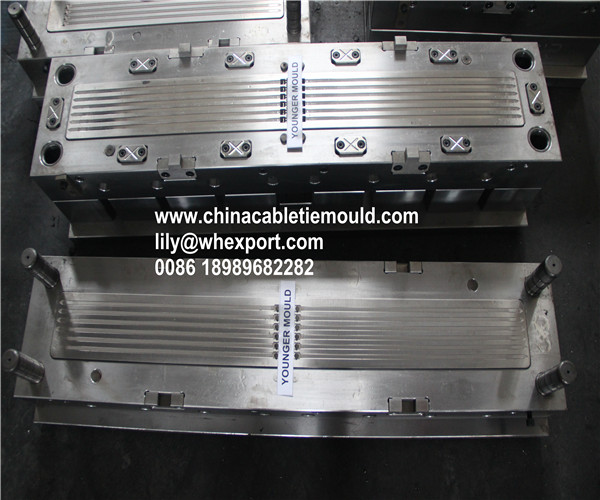 Nylon Cable tie mold factory